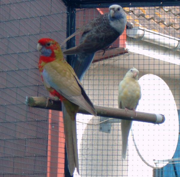 penancroup1.JPG