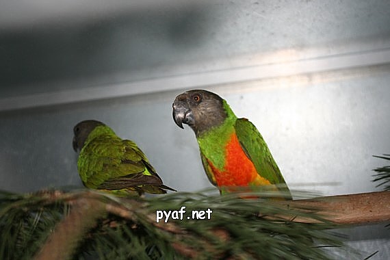 IMG_2544.JPG