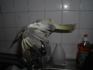 P1010013.jpg