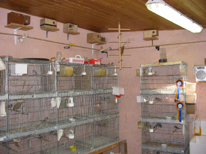 111-1159_IMG.JPG