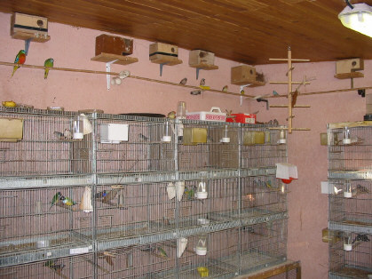 111-1158_IMG.JPG