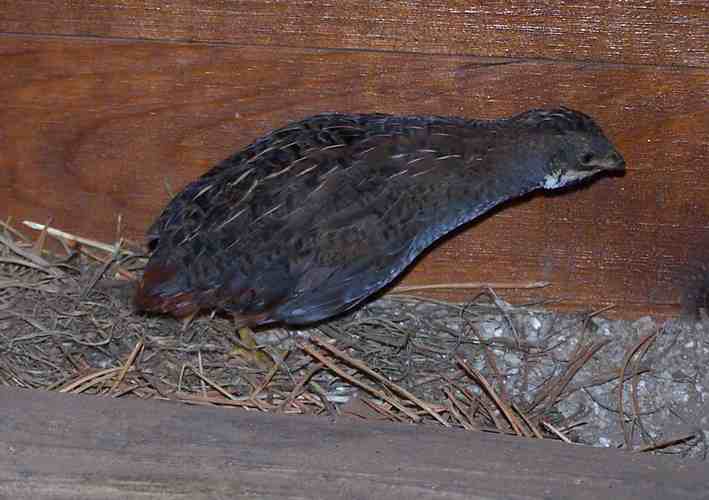 100_7570.jpg