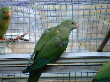 DSCF0041bis.JPG