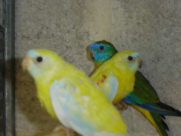 DSC02028.jpg