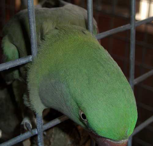 CIMG0863.JPG