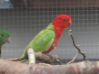 CIMG0051.jpg