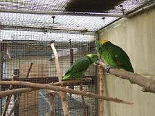DSCF0113.JPG