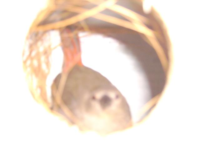 PICT0094.JPG
