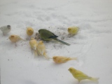 DSCN0048.JPG