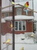 DSCN0062.JPG