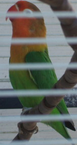 Pic044.JPG