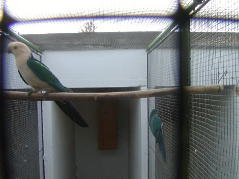 P1010026.JPG