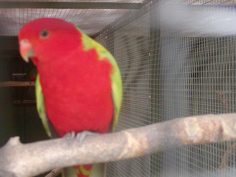 P1010040.JPG
