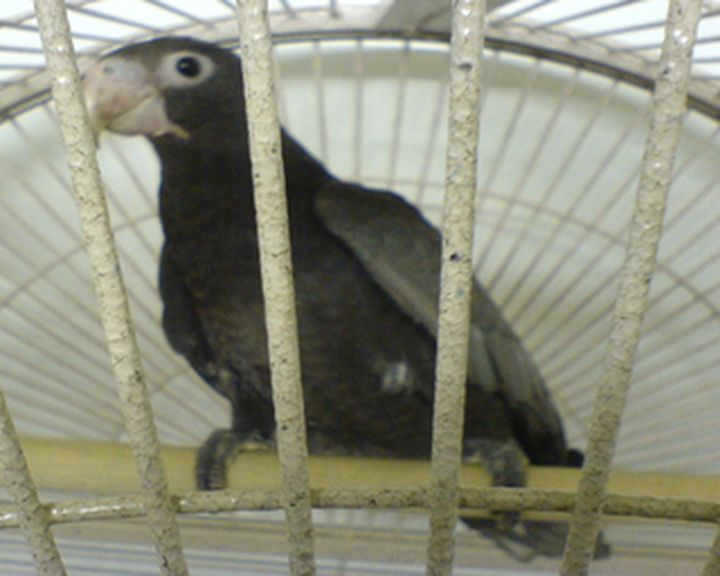 DSC002081.jpg