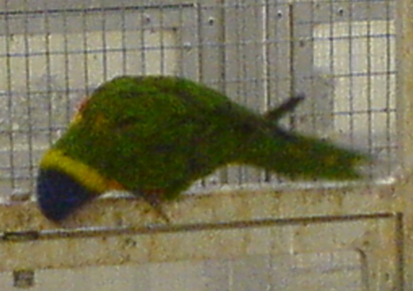 DSC002161.jpg