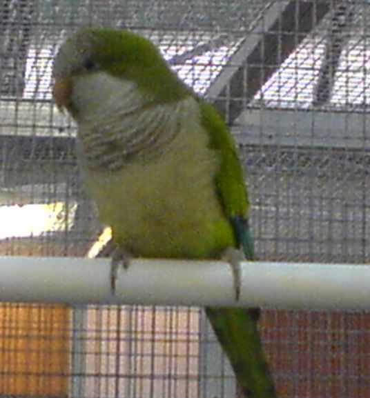 DSC002121.jpg