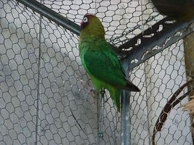 RIMG0132.jpg