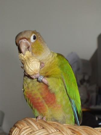 Lili 024.jpg
