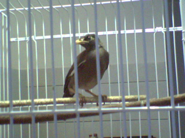 SP_A0677.jpg