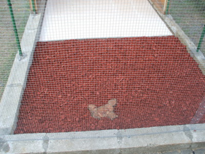 e1.JPG