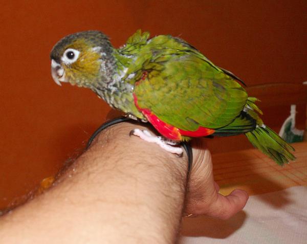 Rupi25.06a.jpg