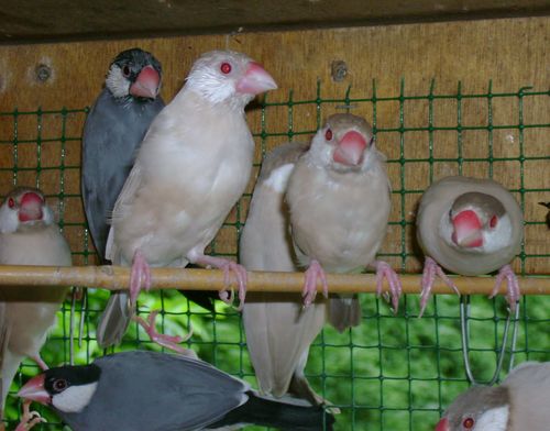 DSC00738.JPG