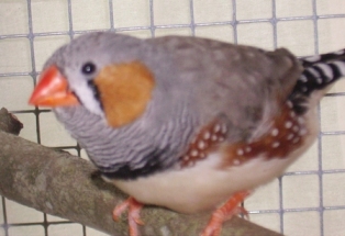 PICT0344.JPG