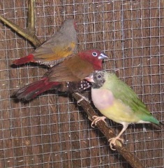 PICT0053.JPG