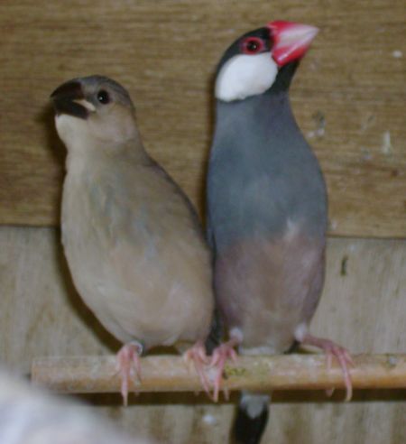 DSC00807.JPG