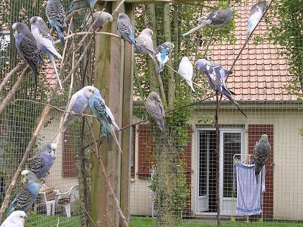 DSCN0655.JPG
