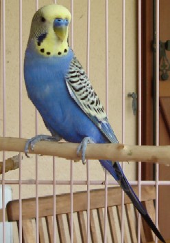 male002.jpg