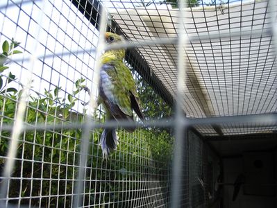 IMG_67311.jpg