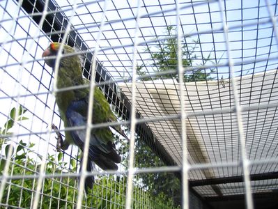IMG_67321.jpg