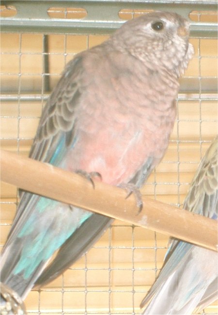 6749.jpg