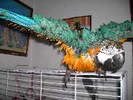 46cf053054737.jpg