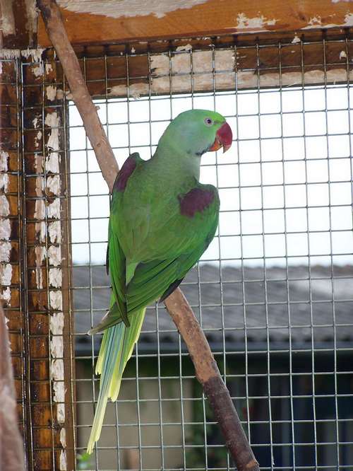 100_2722b.JPG