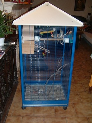 cage.JPG