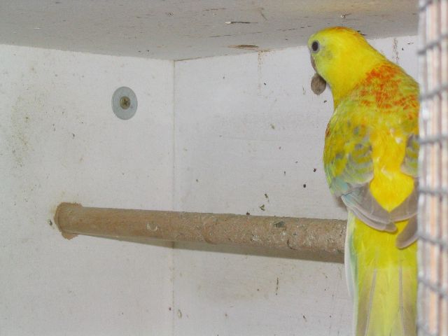 120_2002_640x480.jpg