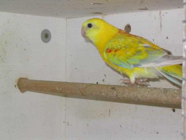 120_2010_640x480.jpg