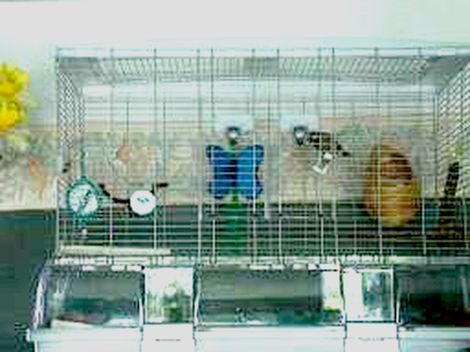 Photo 007.jpg