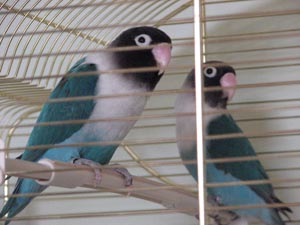 IMG_3684.JPG