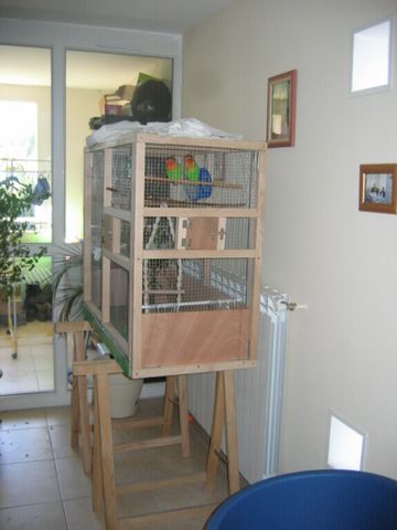 FISHERS [640x480].jpg