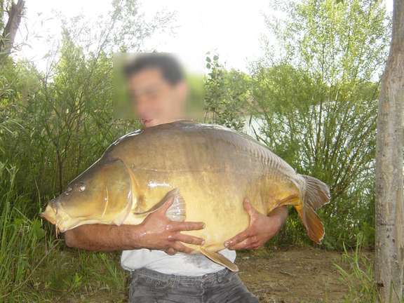 33,5kg.jpg