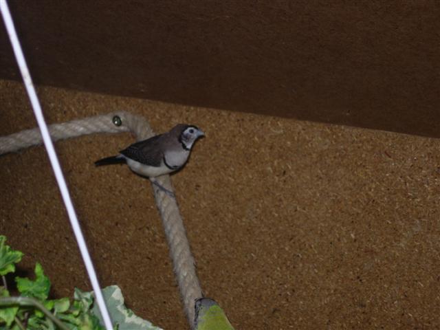 DSCN3229 (Small).JPG