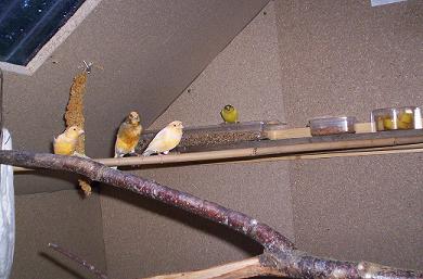 000_03611.jpg