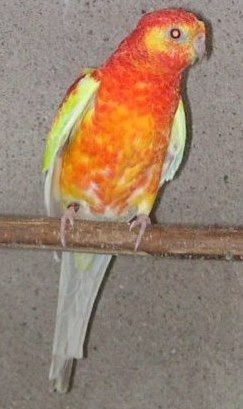 photo .jpg