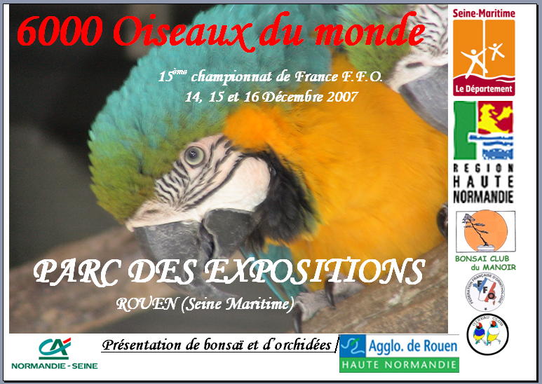 Affiche-Rouen-1.jpg