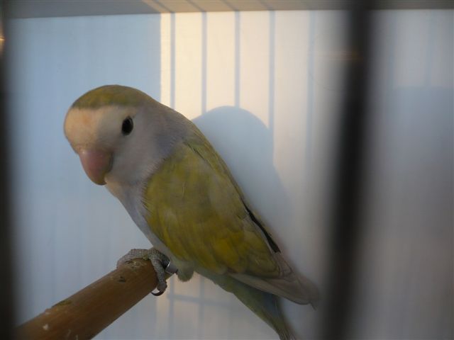 P1010153.JPG