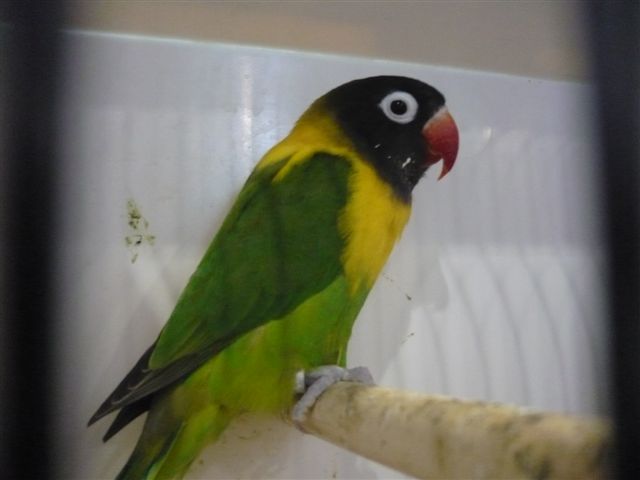 P1010187.JPG