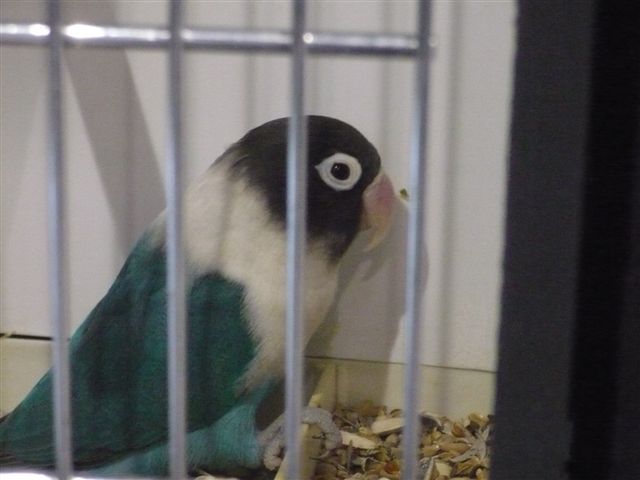 P1010183.JPG